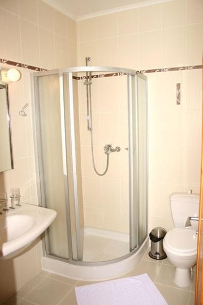 Zlaty Lev Otel Louny Oda fotoğraf